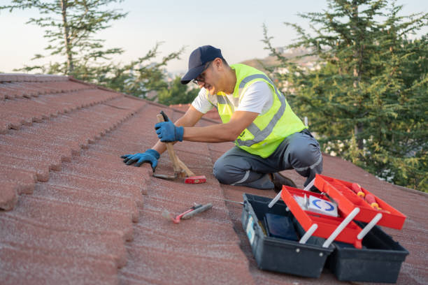 Roof Gutter Cleaning in Arcadia, LA